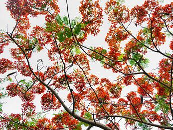 《龙腾世纪4》Steam销量超64万份 收入3千万美元