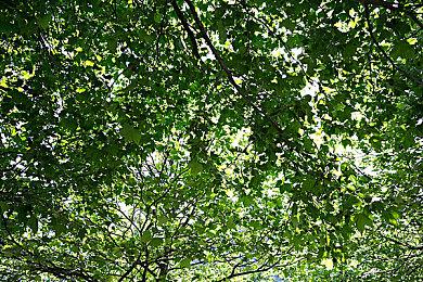 桌游棋牌狂欢节：类杀戮尖塔卡牌构筑游戏《降妖散记》开发制作中